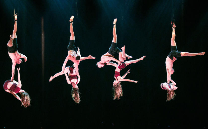 Artistic Highlights credit david levene